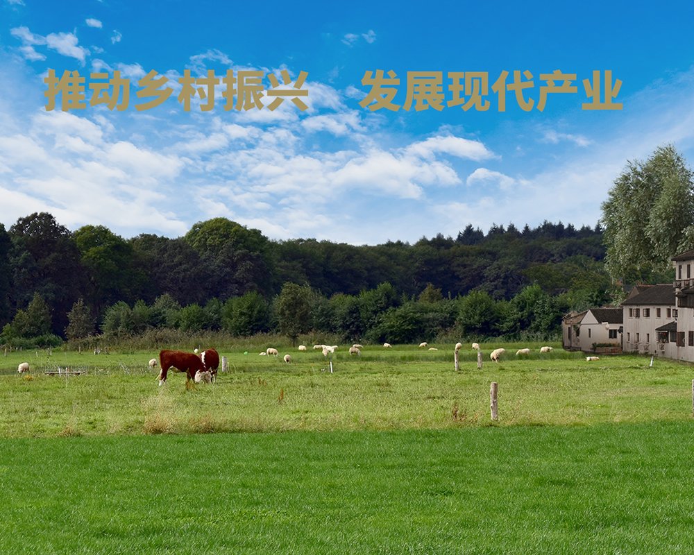 農業(yè)產(chǎn)業(yè)